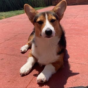 Meet your Posher, Kristin